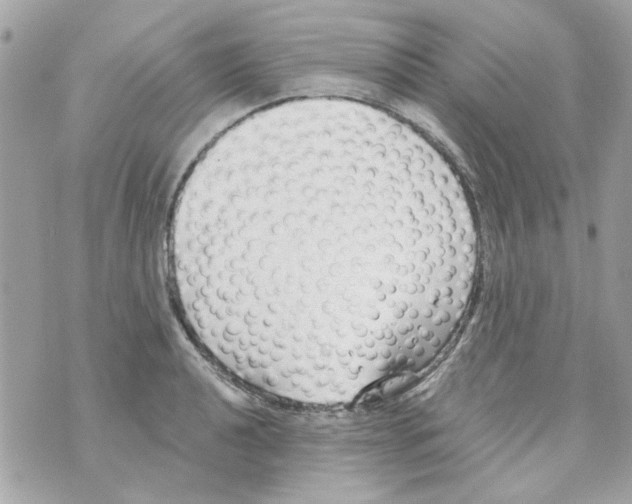 X0000069821040200606161910