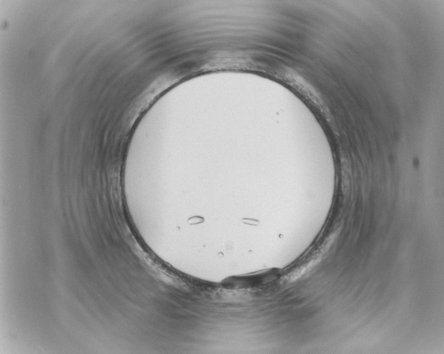 X0000069821041200606161910