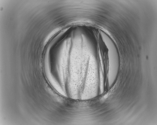 X0000069821042200606161910