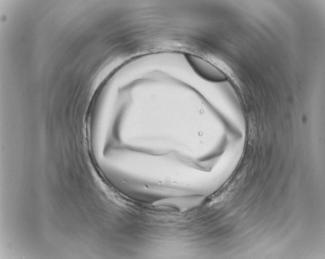 X0000069821047200606161910