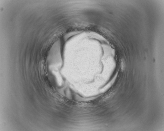 X0000069821059200606161909
