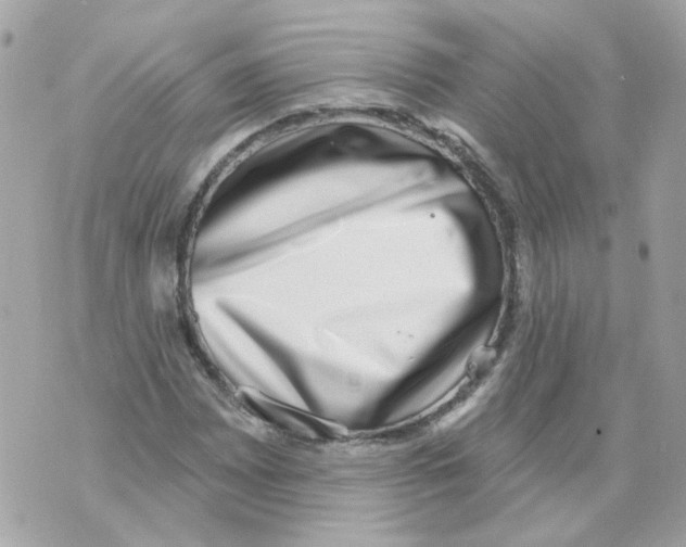 X0000069821065200606161909