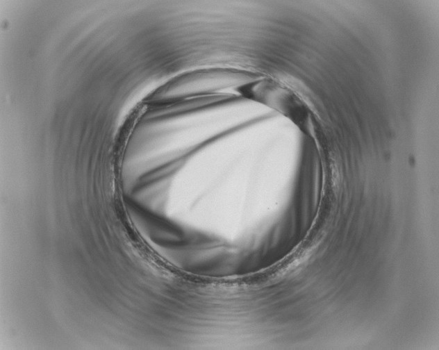 X0000069821069200606161909