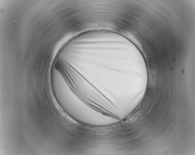 X0000069821096200606161908