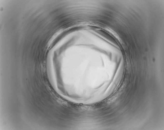 X0000069821097200606161908