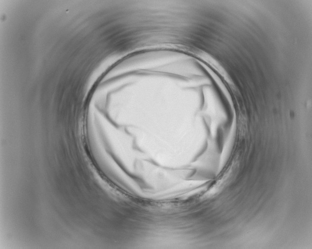 X0000069821101200606161908