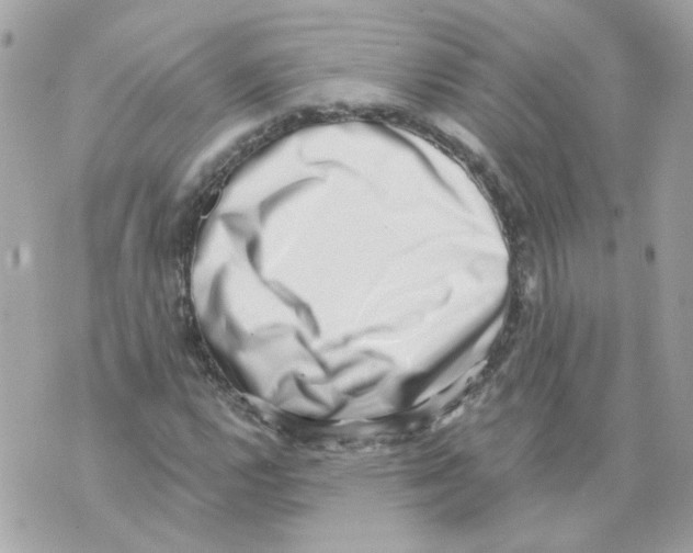 X0000069821112200606161908