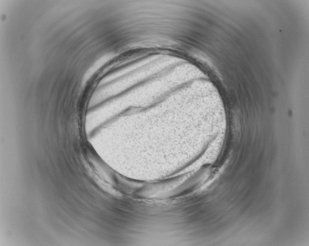 X0000069821114200606161908