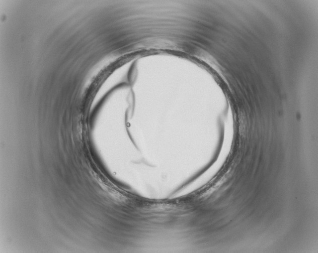 X0000069821115200606161908