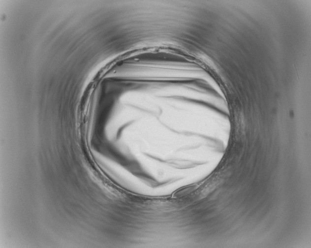 X0000069821124200606161908