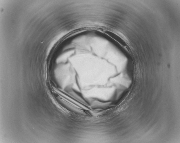 X0000069821128200606161908