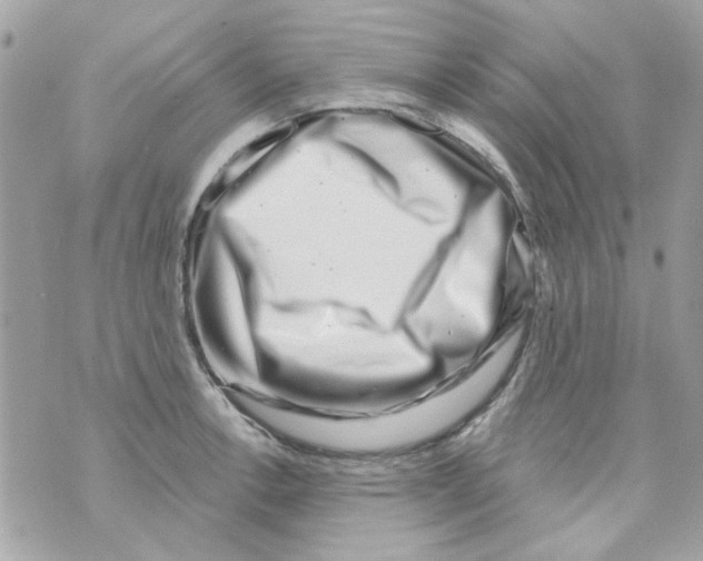 X0000069821138200606161908