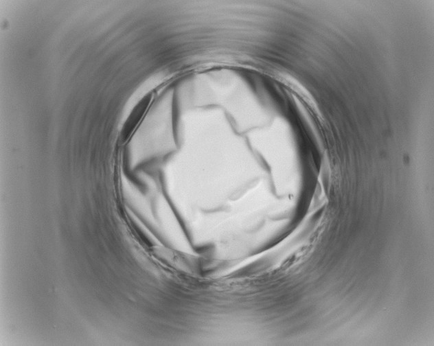 X0000069821146200606161908