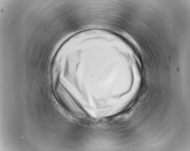 X0000069821148200606161908