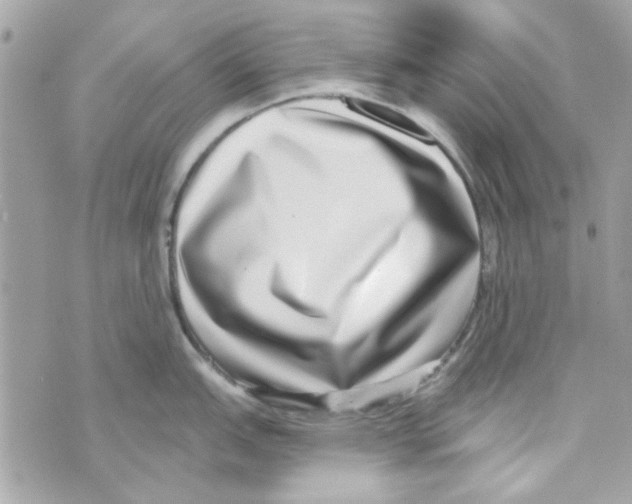 X0000069821151200606161908