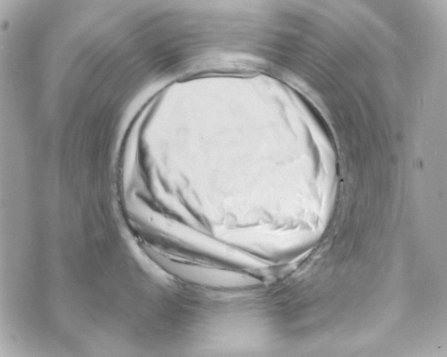 X0000069821152200606161908