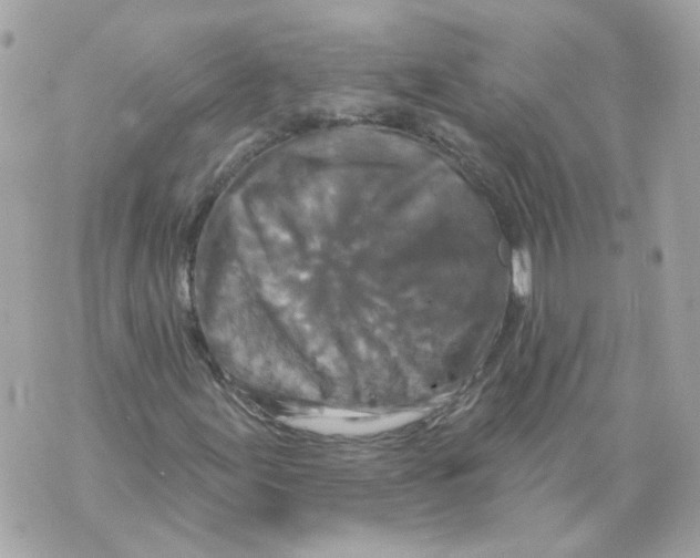 X0000069821155200606161907