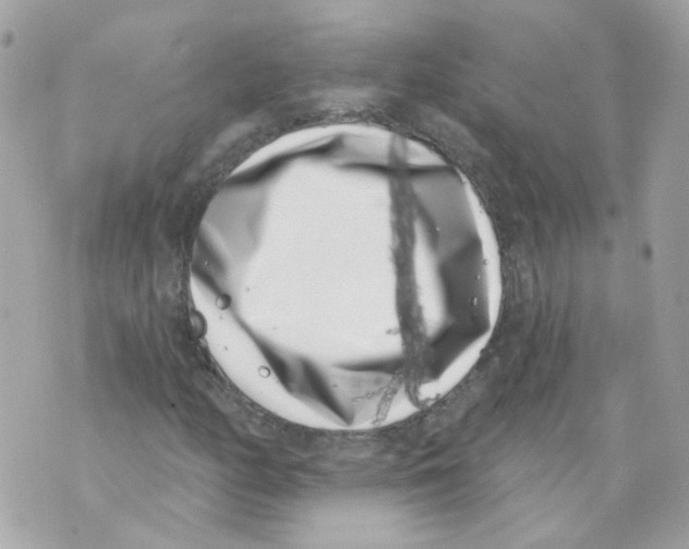 X0000069821158200606161907