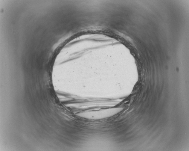X0000069821160200606161907