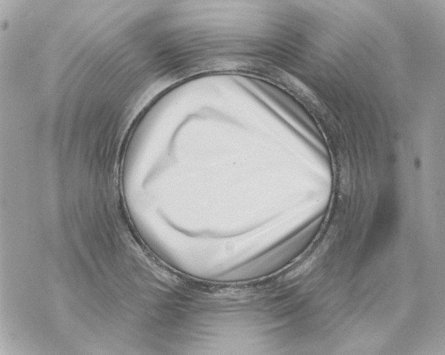X0000069821178200606161907