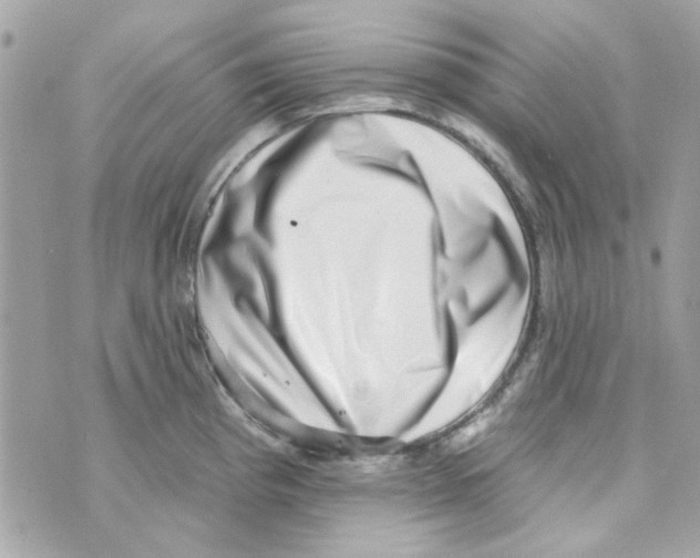 X0000069821193200606161907