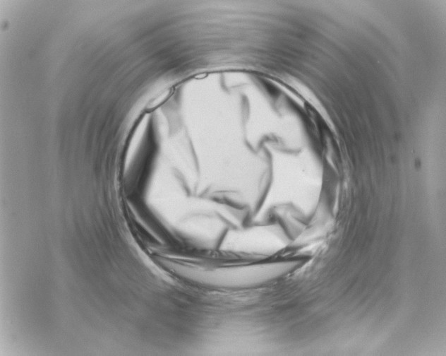 X0000069821197200606161907