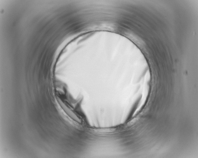X0000069821200200606161907