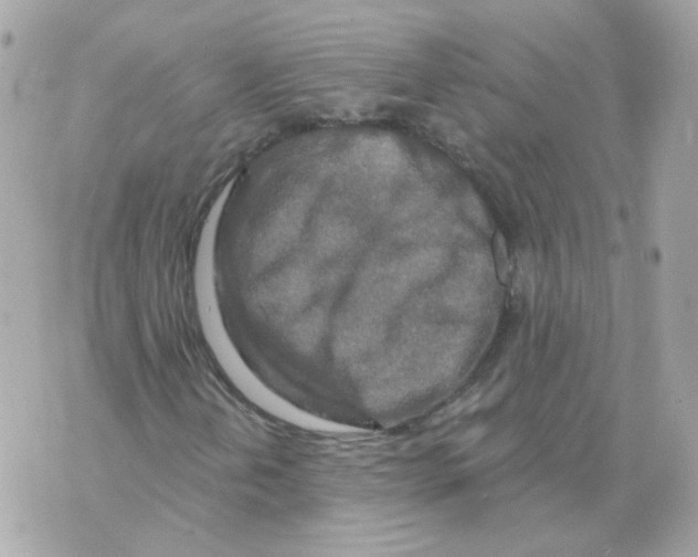 X0000069821202200606161906