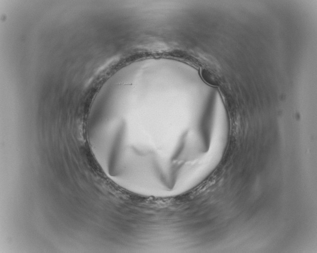 X0000069821205200606161906