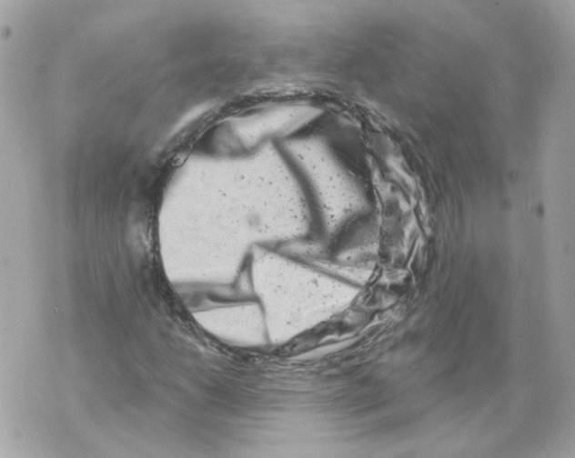 X0000069821206200606161906