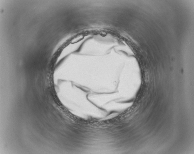 X0000069821208200606161906