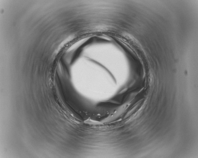 X0000069821210200606161906
