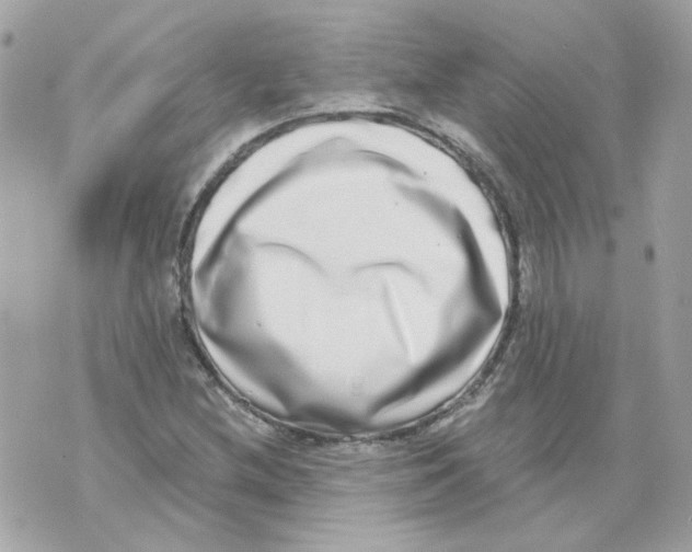 X0000069821212200606161906