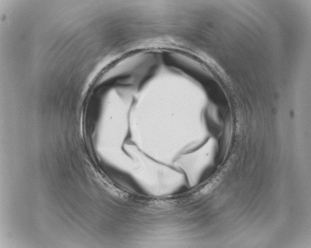 X0000069821224200606161906