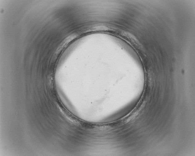 X0000069821225200606161906