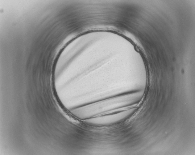 X0000069821237200606161906