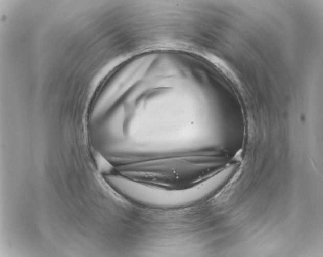 X0000069821238200606161906