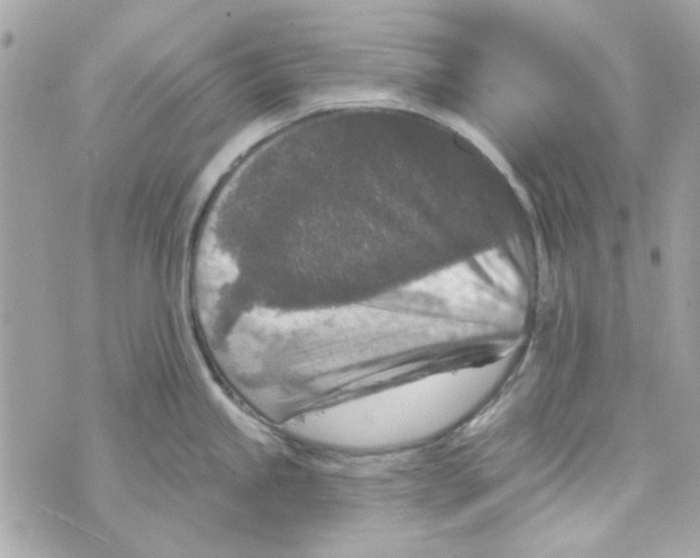 X0000069821245200606161907