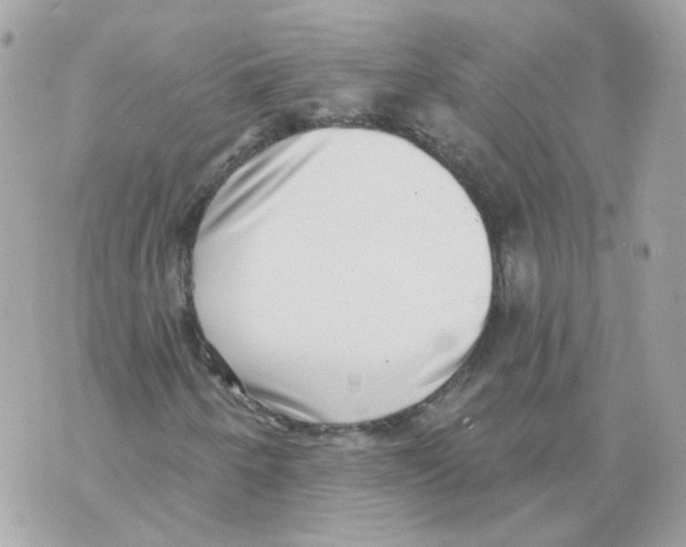 X0000069821250200606161906