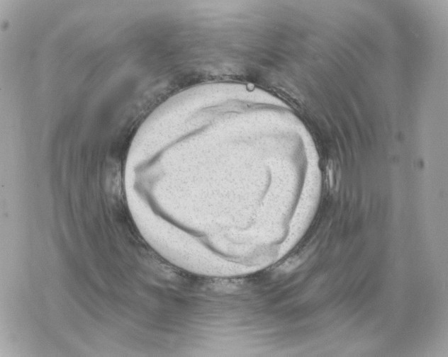 X0000069821251200606161906
