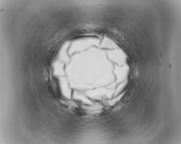 X0000069821253200606161906