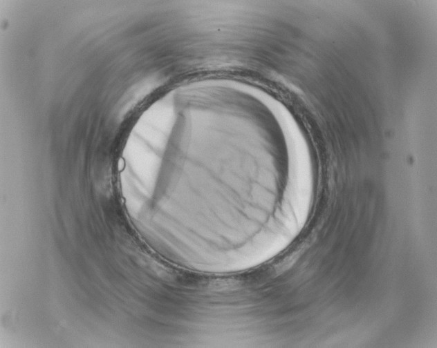 X0000069821306200606161904