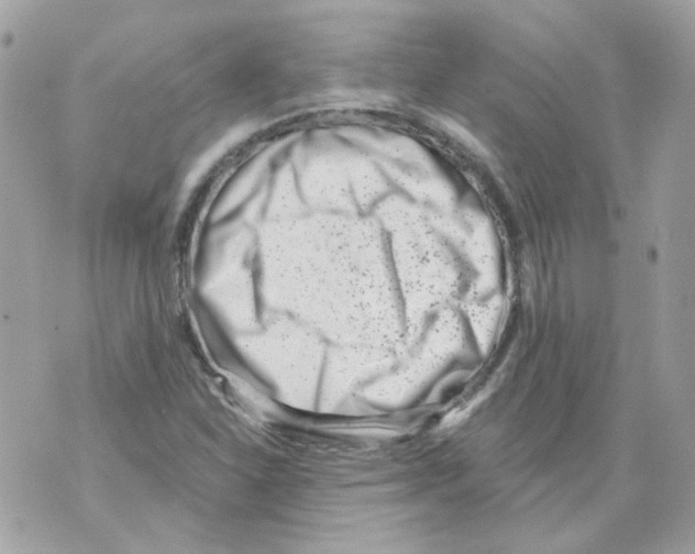 X0000069821310200606161905