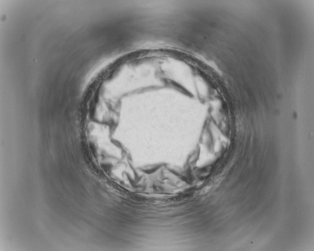X0000069821311200606161905
