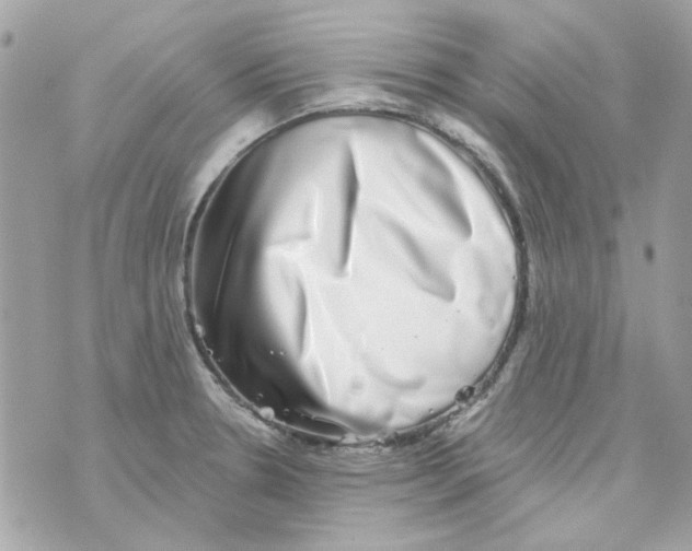 X0000069821330200606161905