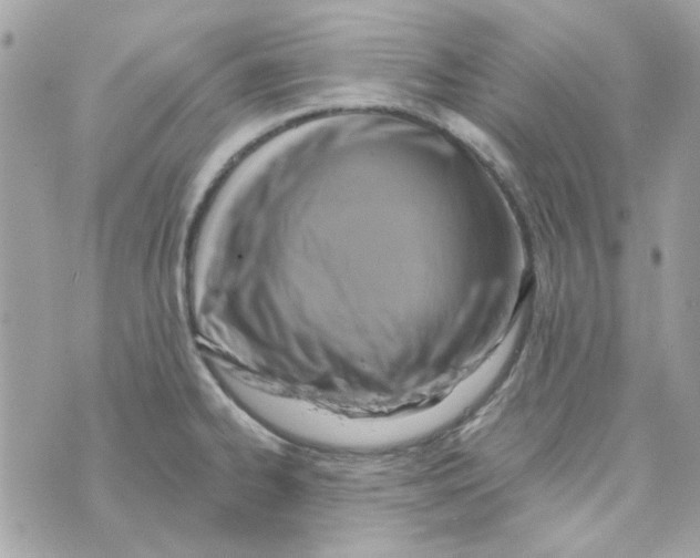 X0000069821334200606161905