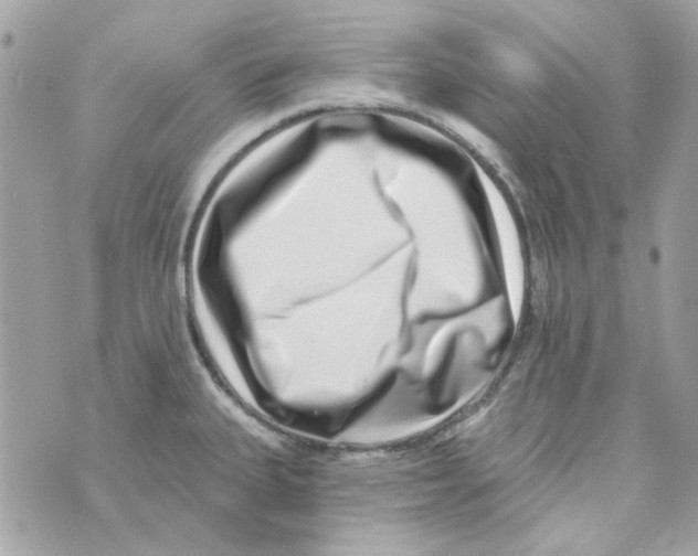 X0000069821335200606161905