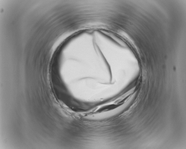 X0000069821336200606161905