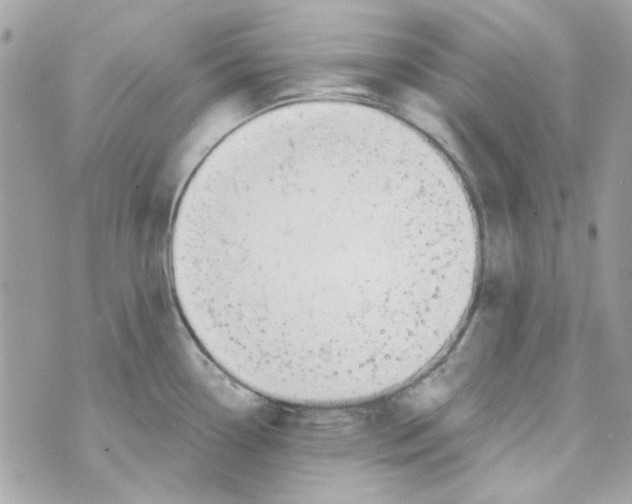 X0000069821338200606161905