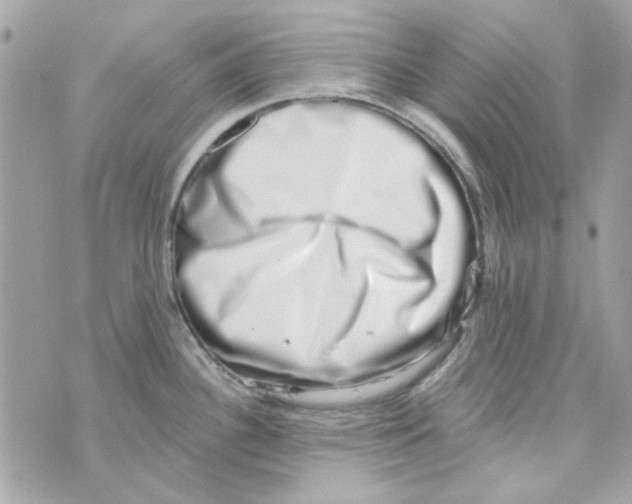 X0000069821340200606161905